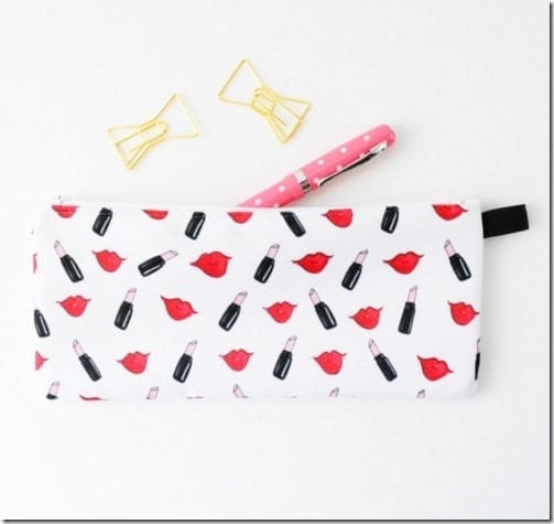 lips-lipstick-makeup-case