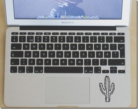 cactus-vinyl-decal