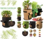 New Bag Styles & Gardening Tools For Quarantine Season 2020