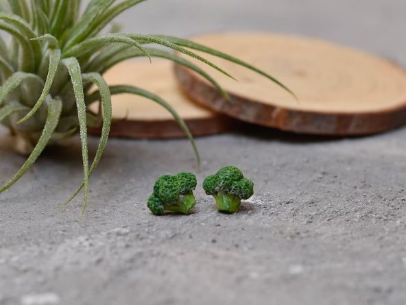 broccoli stud earrings // Brlogarka